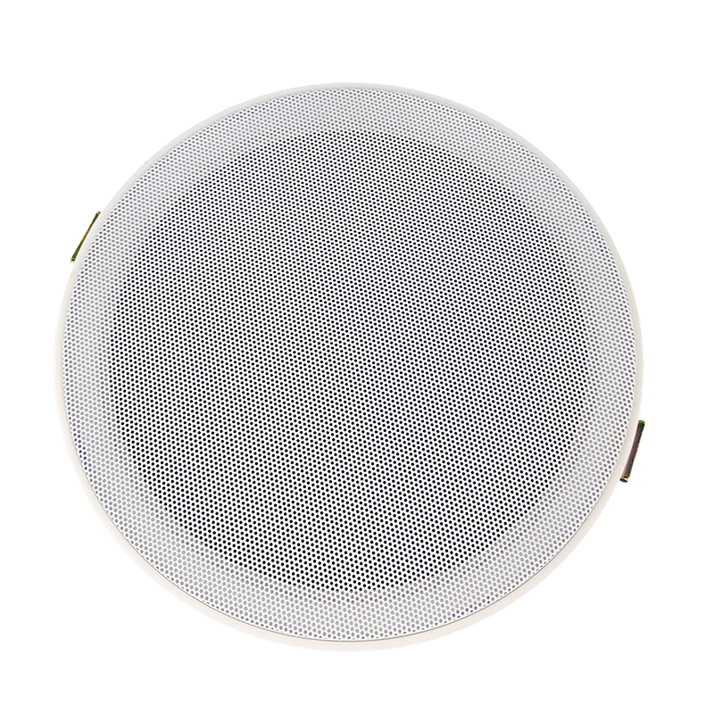 Ceiling Speaker