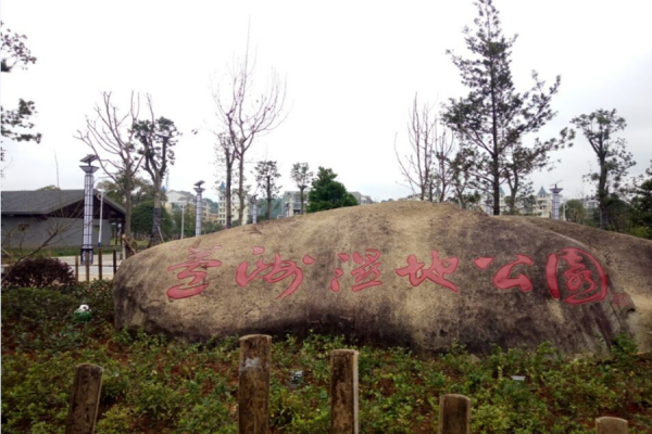 AAAA Wetland Park Background Music Project